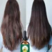 Ultimate Hair Care Oil Review for Restoring Shine and Deep Moisture